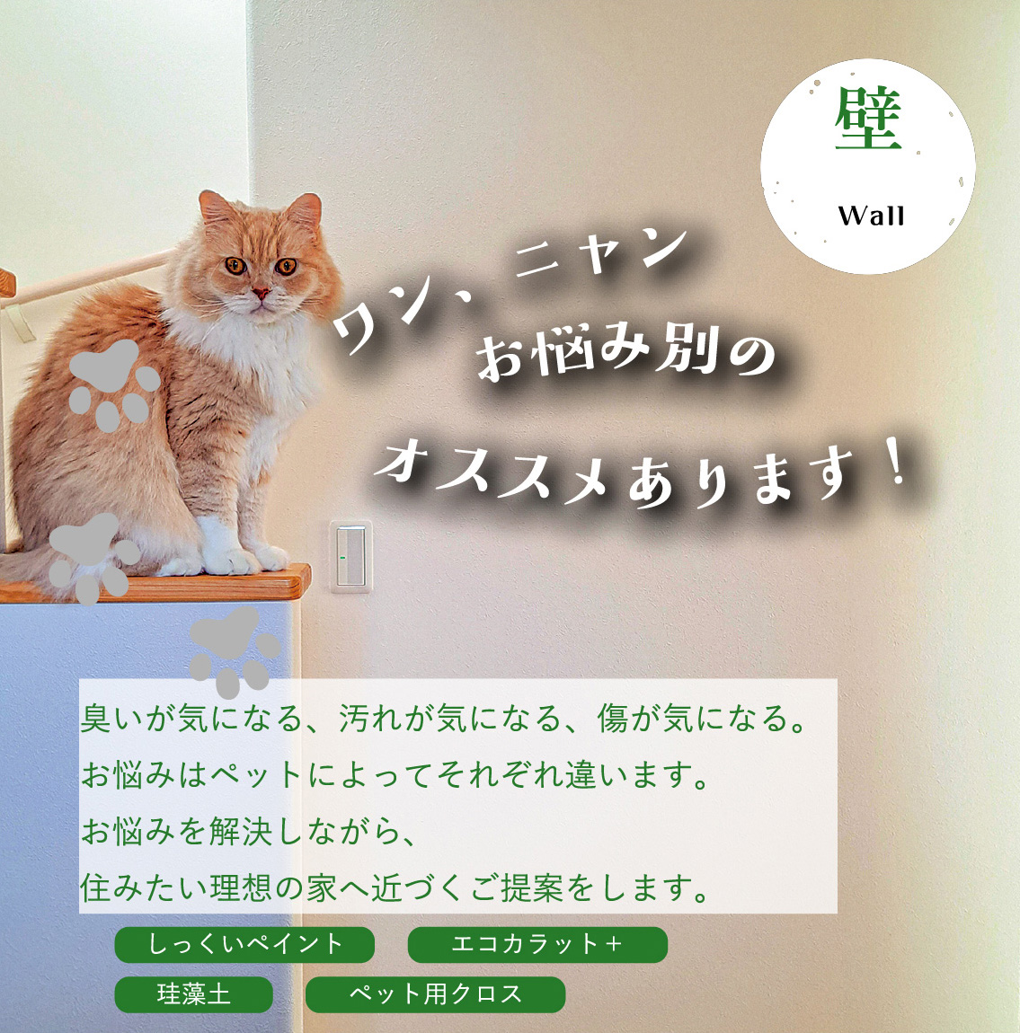 壁｜ワン、ニャンお悩み別のオススメあります！臭いが気になる、汚れが気になる、傷が気になる。お悩みはペットによってそれぞれ違います。お悩みを解決しながら、住みたい理想の家へ近づくご提案をします。｜しっくいペイント・エコカラット+・珪藻土・ペット用クロス